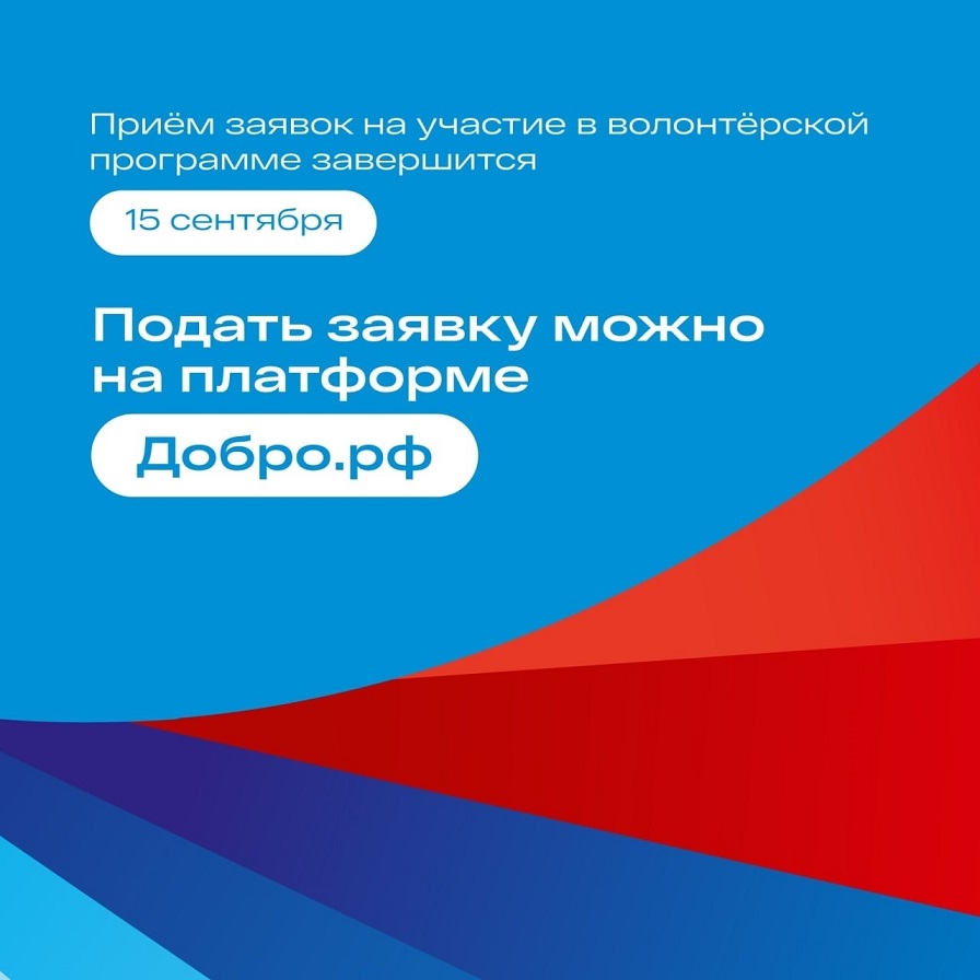 Подать заявку можно на платформе добро рф
